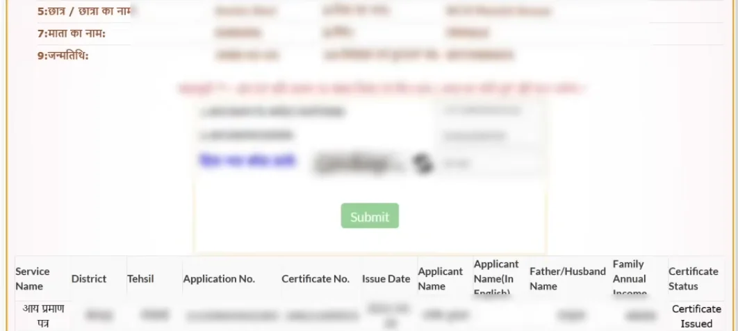 Final Submission Page